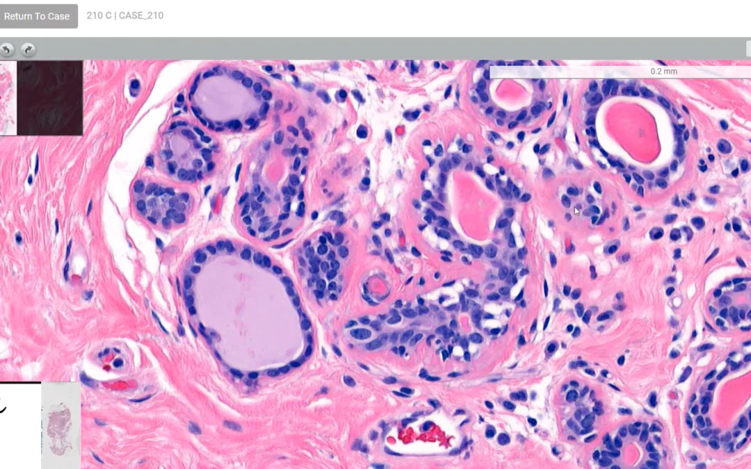 Digital Dermatopathology Digest