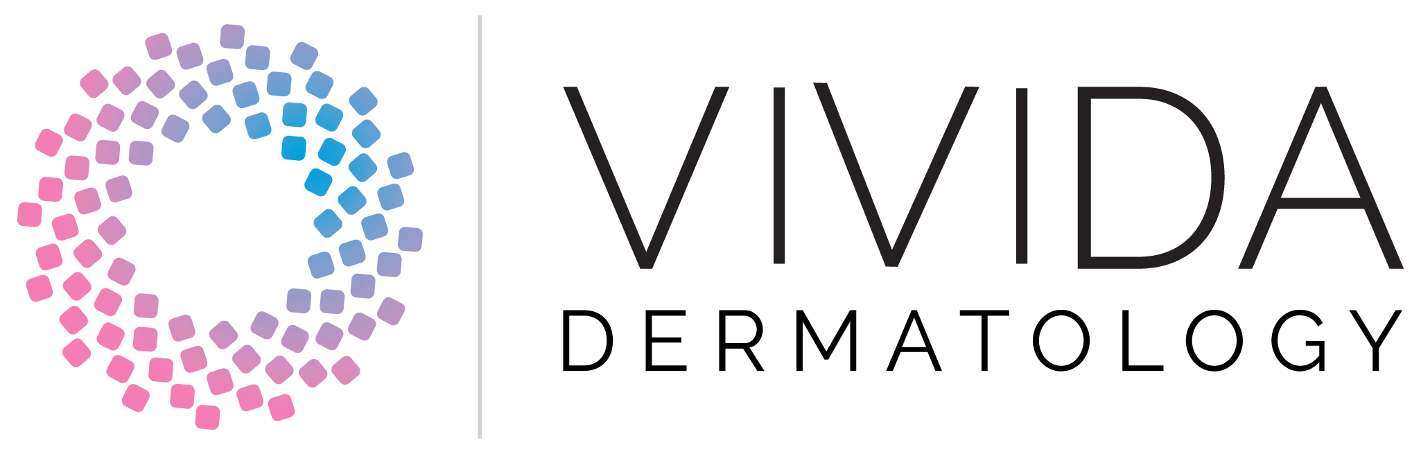 vivida case study