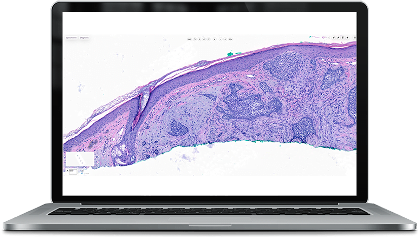 Digital pathology Category III CPT codes